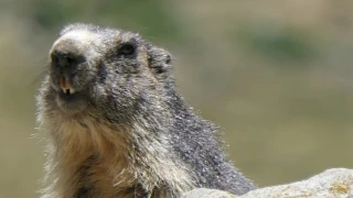 Magique Néouvielle&nbsp;: une expérience des plus intenses au pays des merveilles&nbsp;!